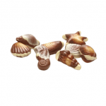 EXCELCIUM PRALINES sea shells